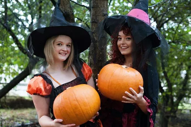 Halloween: Pick your own pumpkins at Cannon Hall Farm festival