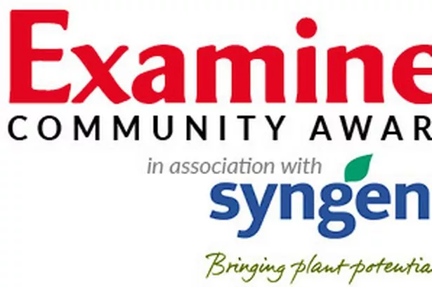 Examiner Community Awards 2017: The winners