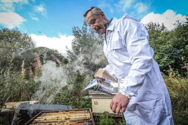 Syrian beekeeper sets up hive project to help other refugees in Huddersfield